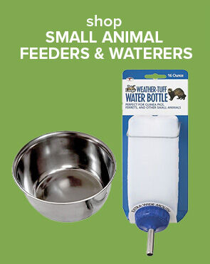 Small Animal Feeders & Waterers